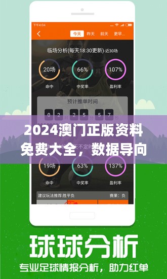 2024新澳門正版免費資本車,動態調整策略執行_3DM96.635