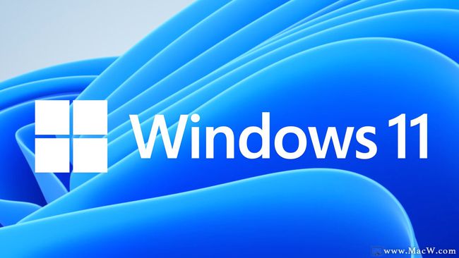 正版資料免費資料大全十點半,正確解答落實_Windows65.483