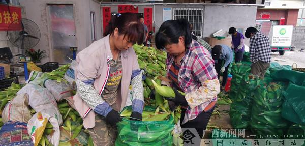 橫縣最新新聞報道，城市發(fā)展與民生改善齊頭并進