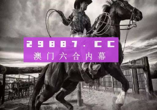 2024新澳門正版免費資木車,實踐數據解釋定義_高級版25.581