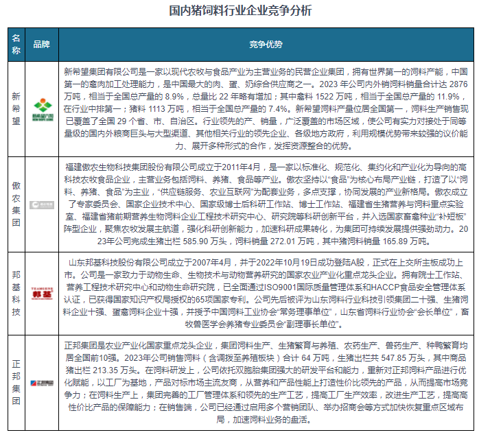 王中王資料大全料大全1,數據決策分析驅動_Holo29.207