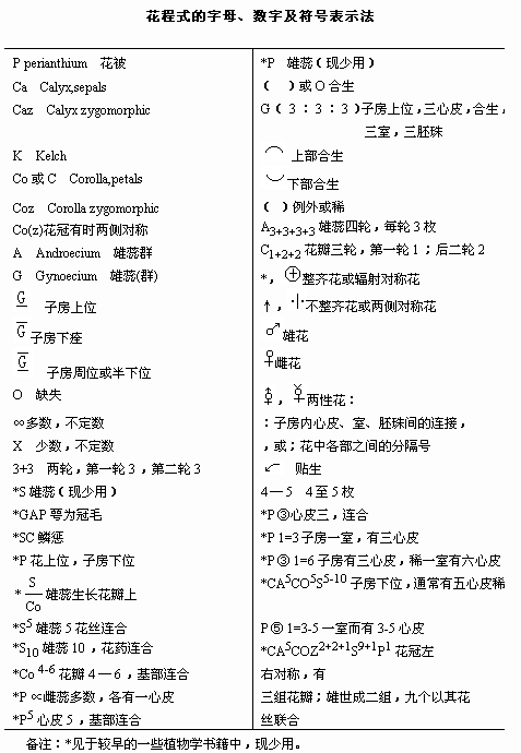 2o24新澳最準(zhǔn)最快資料,綜合研究解釋定義_尊貴款70.874