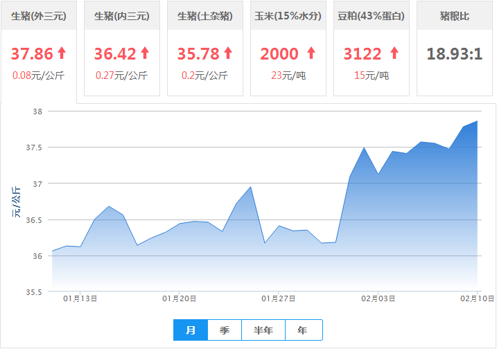 最新生豬價(jià)格行情解析