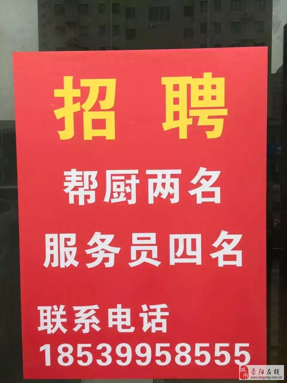 滎陽在線最新招聘，職業發展無限可能