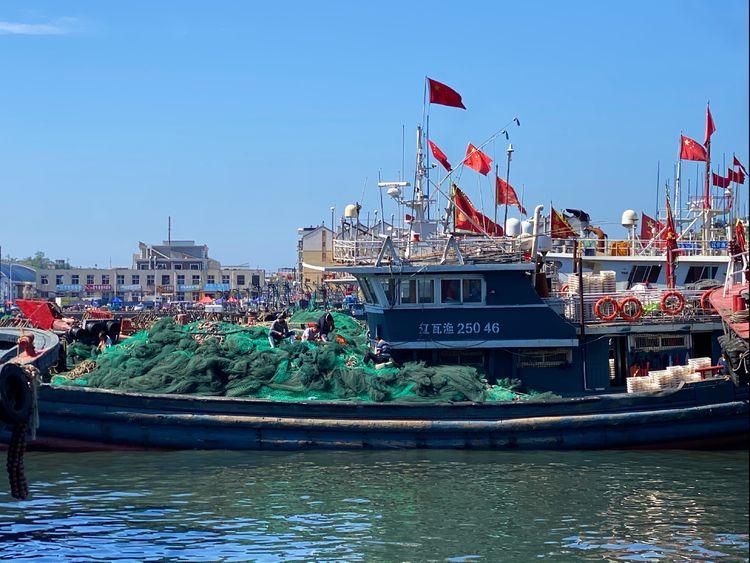 大連龍王塘新動(dòng)態(tài)，綠色明珠成為城市新寵