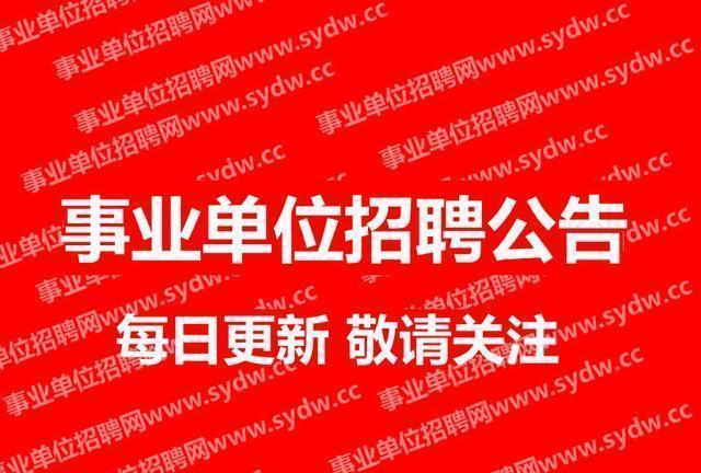 陽山最新招工信息及其影響，探尋工作機會與地區交匯發展之路