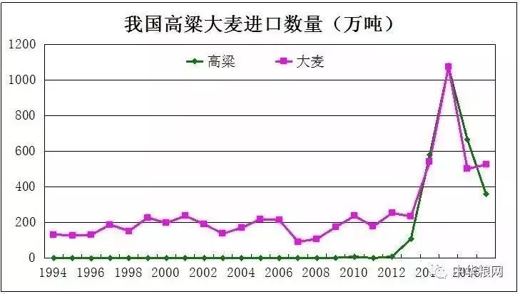 高粱價格最新行情分析與走勢預測